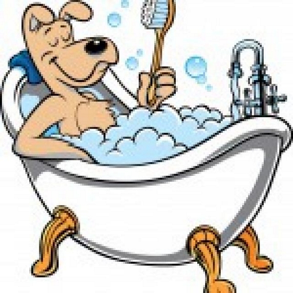 Dog-bathing